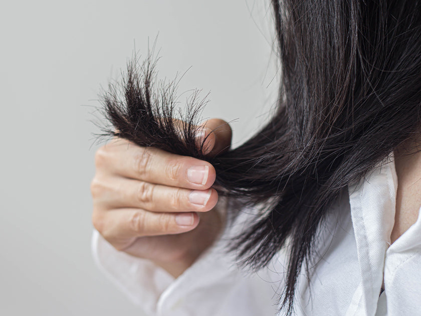 Damaged hair: how to recognize it and how to take care of it